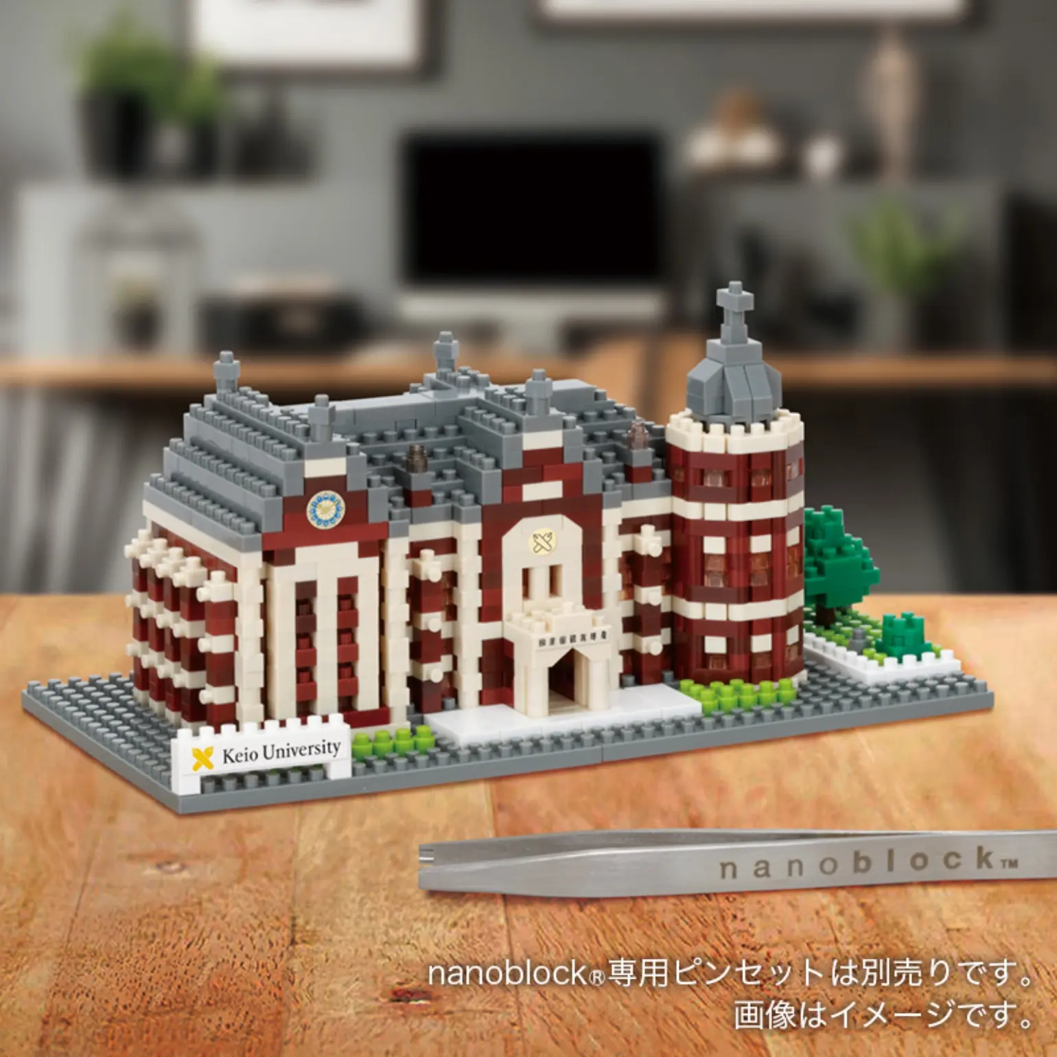 図書館旧館ナノブロック